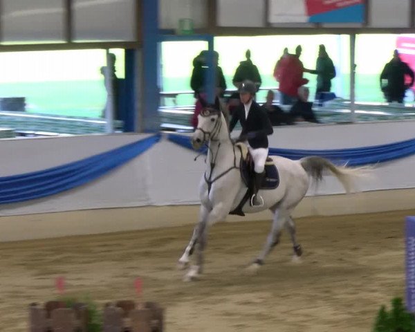 Reitturnier Buchs 2021