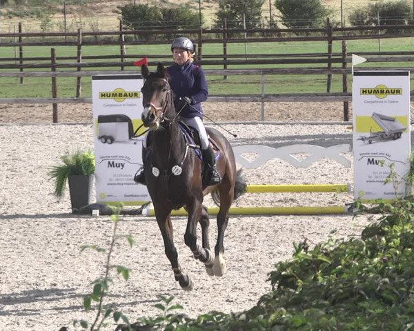 Reitturnier Worms-Pfeddersheim / Reitsportanlage Wittemer 2020
