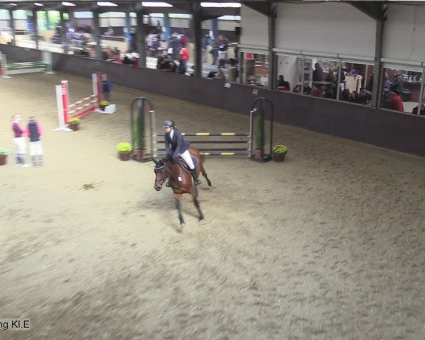 Reitturnier Legden 2020