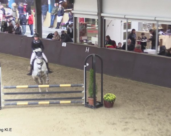 Reitturnier Legden 2020