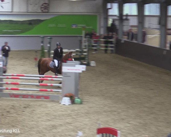 Reitturnier Legden 2020