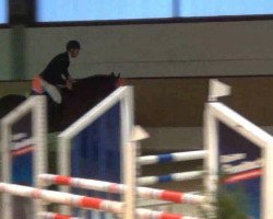 Jumper Liberty 345 (Oldenburger Jumping Horse, 2008, from Lordanos)