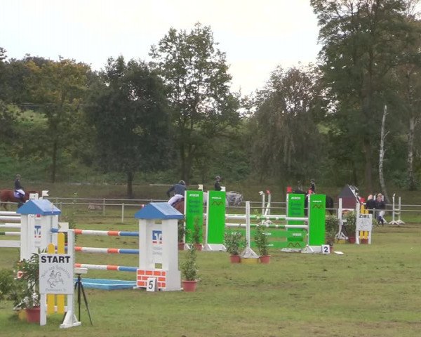 Reitturnier Gardelegen 2020