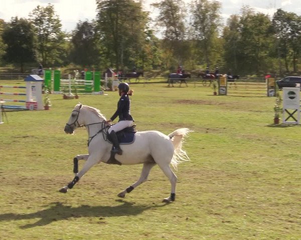Reitturnier Gardelegen 2020