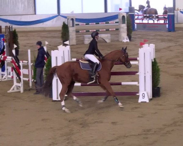 Reitturnier Buchs 2021