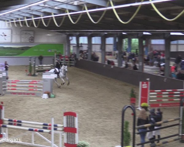 Reitturnier Legden 2020