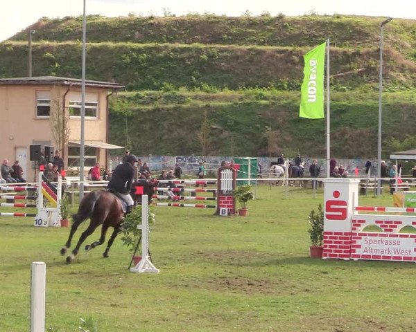 Reitturnier Gardelegen 2020