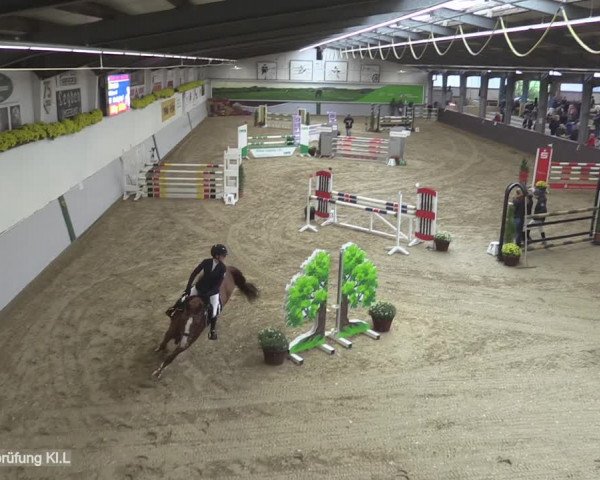 Reitturnier Legden 2020