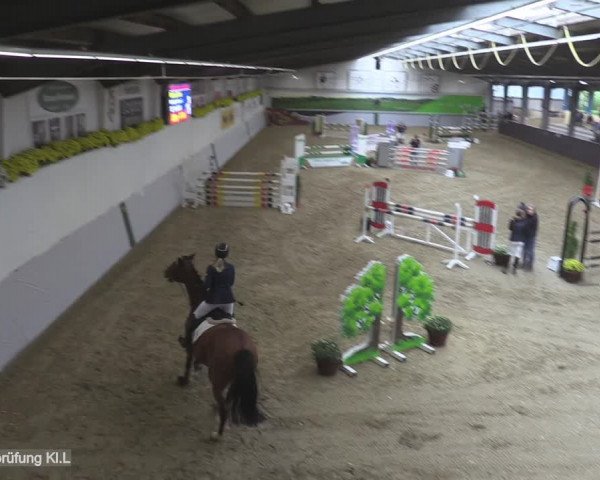 Reitturnier Legden 2020