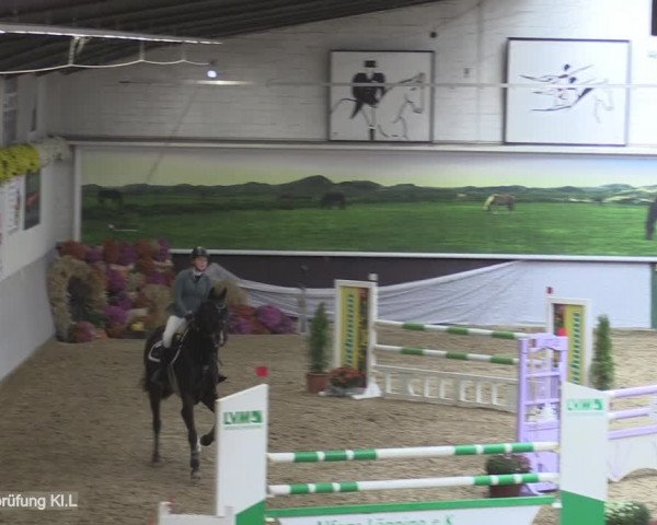 Reitturnier Legden 2020