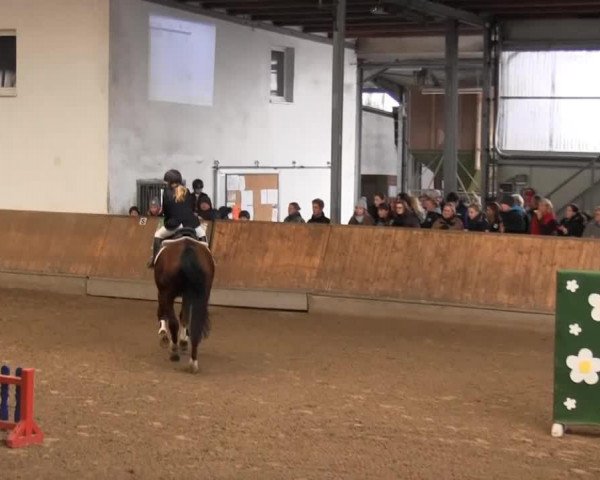 jumper Golfo (unknown, 2000)