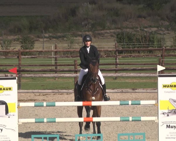 Reitturnier Worms-Pfeddersheim / Reitsportanlage Wittemer 2020