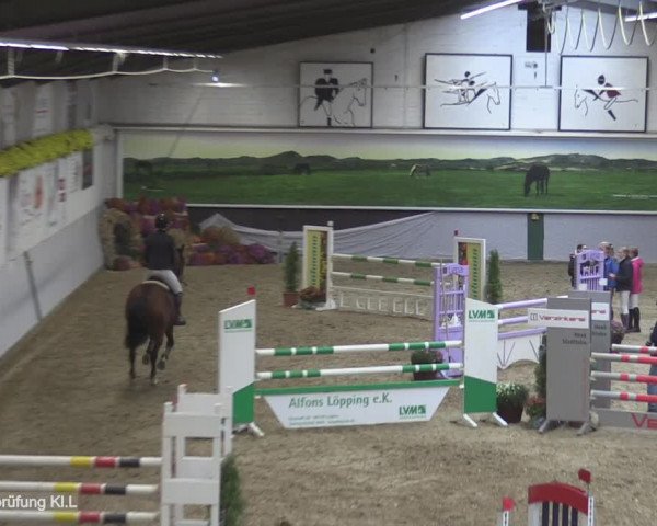 Reitturnier Legden 2020