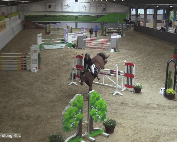 Reitturnier Legden 2020