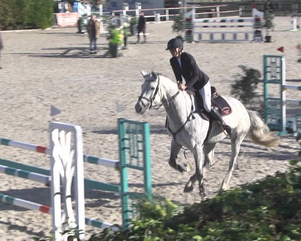 Reitturnier Worms-Pfeddersheim / Reitsportanlage Wittemer 2020