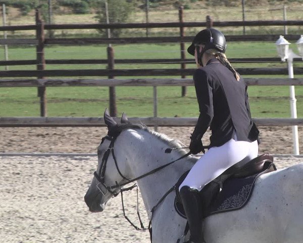 Reitturnier Worms-Pfeddersheim / Reitsportanlage Wittemer 2020