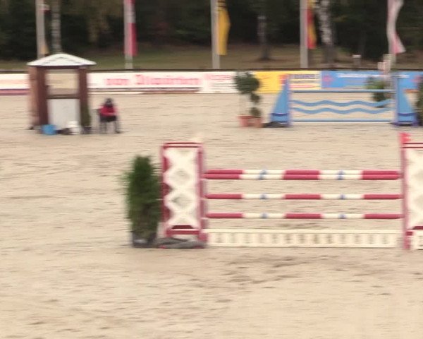 Reitturnier Westergellersen 2020