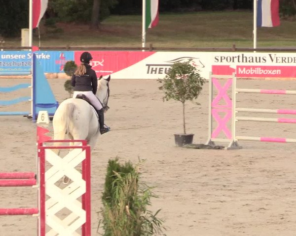 Reitturnier Westergellersen 2020