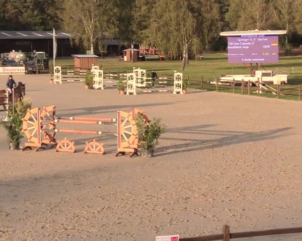Reitturnier Westergellersen 2020