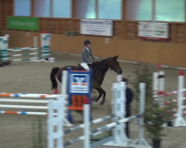 Reitturnier Xanten - Reitanlage Miss 2020