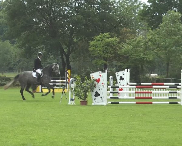 jumper Coronita 4 (Holsteiner, 2009, from Colbert GTI)