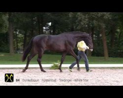 dressage horse Fürstenherz (Hanoverian, 2011, from Fürstenball)