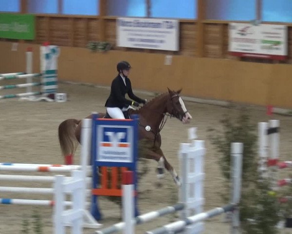 Reitturnier Xanten - Reitanlage Miss 2020