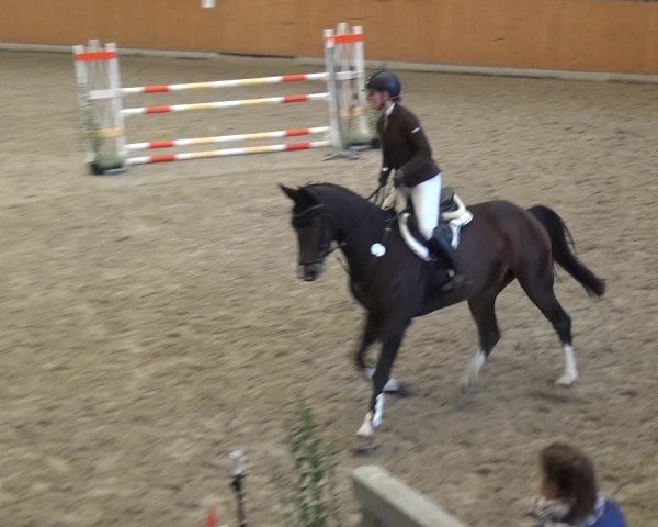Reitturnier Xanten - Reitanlage Miss 2020