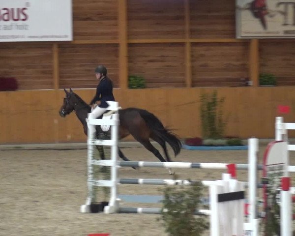 Reitturnier Xanten - Reitanlage Miss 2020