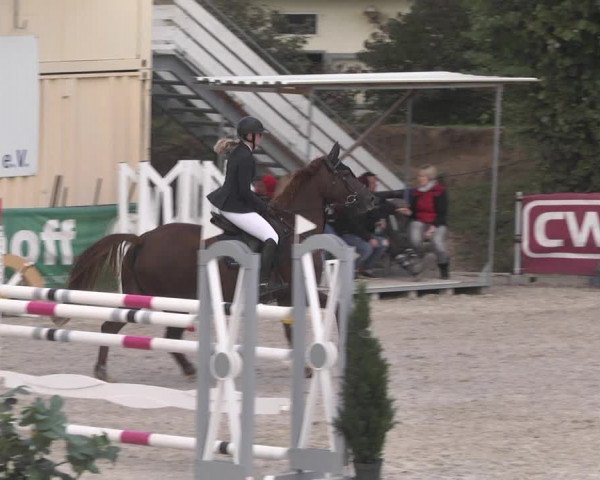 Reitturnier Worms-Pfeddersheim / Reitsportanlage Wittemer 2020