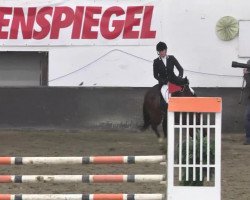 jumper For Spirit 3 (German Sport Horse, 2008, from Forsyth)