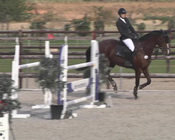 Reitturnier Worms-Pfeddersheim / Reitsportanlage Wittemer 2020