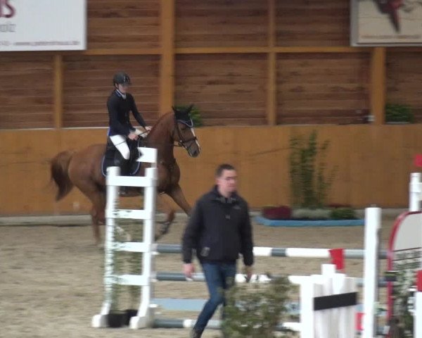 Reitturnier Xanten - Reitanlage Miss 2020