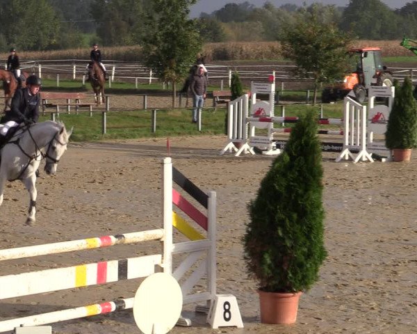 Reitturnier Altenberge 2020
