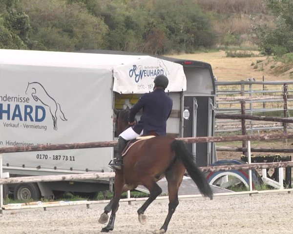 Reitturnier Worms-Pfeddersheim / Reitsportanlage Wittemer 2020