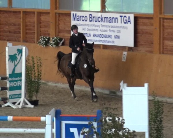 Reitturnier Xanten - Reitanlage Miss 2020