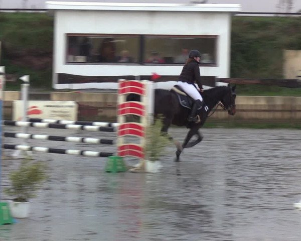 Reitturnier Schülp / Rendsburg 2020