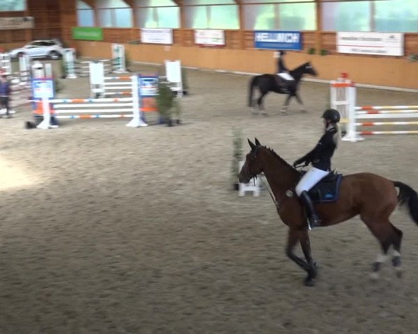 Reitturnier Xanten - Reitanlage Miss 2020