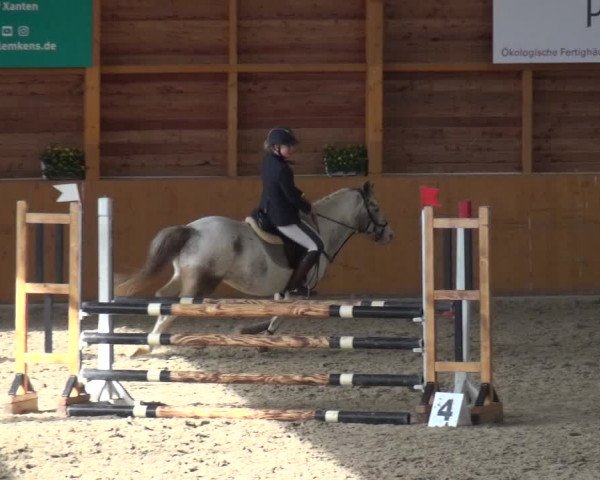 Reitturnier Xanten - Reitanlage Miss 2020