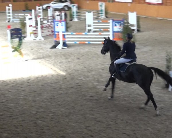 Reitturnier Xanten - Reitanlage Miss 2020