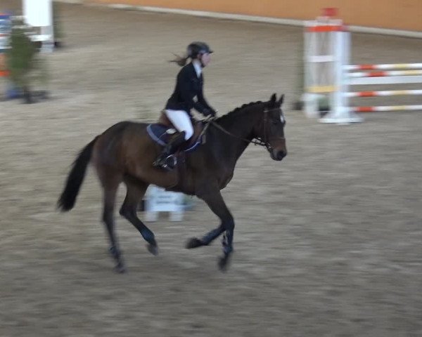 Reitturnier Xanten - Reitanlage Miss 2020