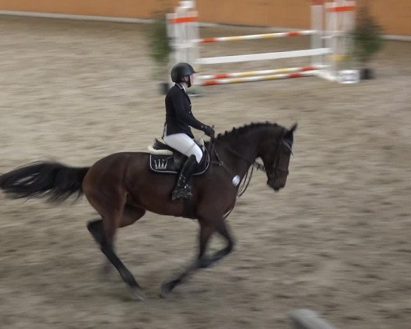 Reitturnier Xanten - Reitanlage Miss 2020