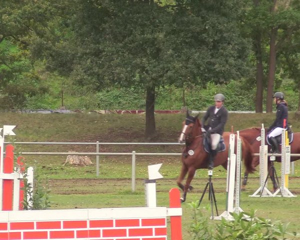 Reitturnier Gardelegen 2020