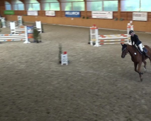 Reitturnier Xanten - Reitanlage Miss 2020