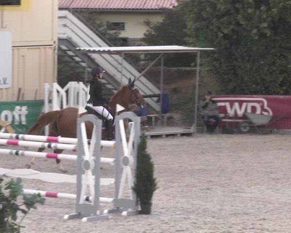 Reitturnier Worms-Pfeddersheim / Reitsportanlage Wittemer 2020