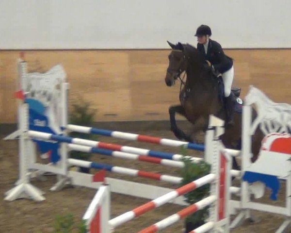 jumper Fuerst Reiner 2 (Holsteiner, 2008, from Caretino)