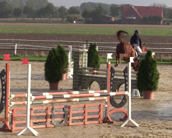 Reitturnier Altenberge 2020