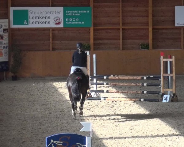 Reitturnier Xanten - Reitanlage Miss 2020
