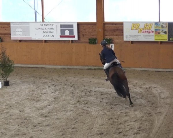 Reitturnier Xanten - Reitanlage Miss 2020