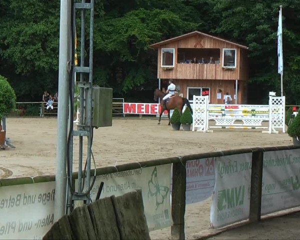 jumper Acolito (Westphalian, 2008, from Acodetto I)
